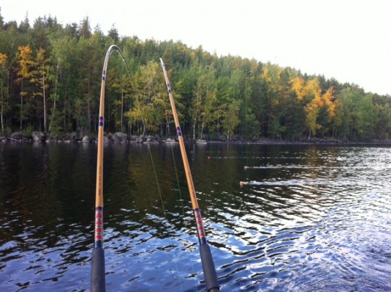 Syysmaisema Syysmaisema