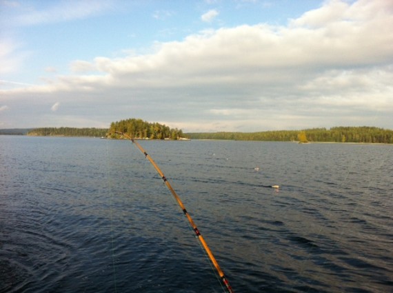 Saarikuva Saarikuva