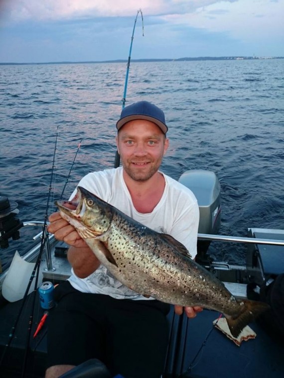 Nässyn taneli Nässyn taneli